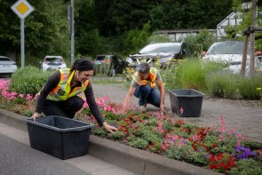 Bauhof-Mitarbeiterinnen tätigen Bauhofarbeiten im Blumenbeet